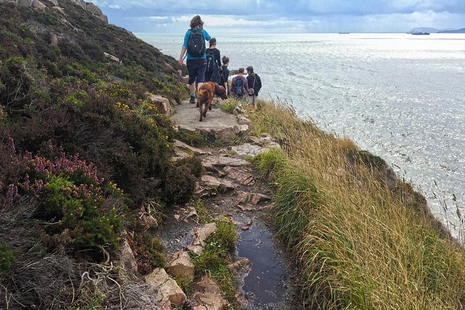 Howth Safari Hiking Tour - Finishing at Howth Summit (or heading back to the harbour)