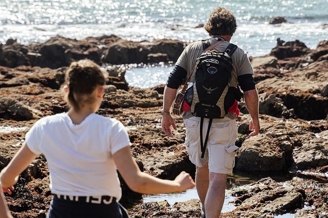 Howth Safari Hiking Tour - Pacing, distance, and footwear: your legs will lead the schedule