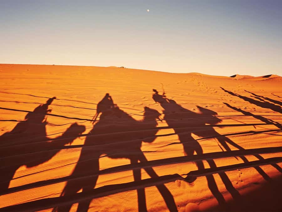 Hurghada: 6-Hour Jeep Desert Safari, Dinner, and Show - From Hurghada pickup to night-sky finish: how the 6 hours actually roll