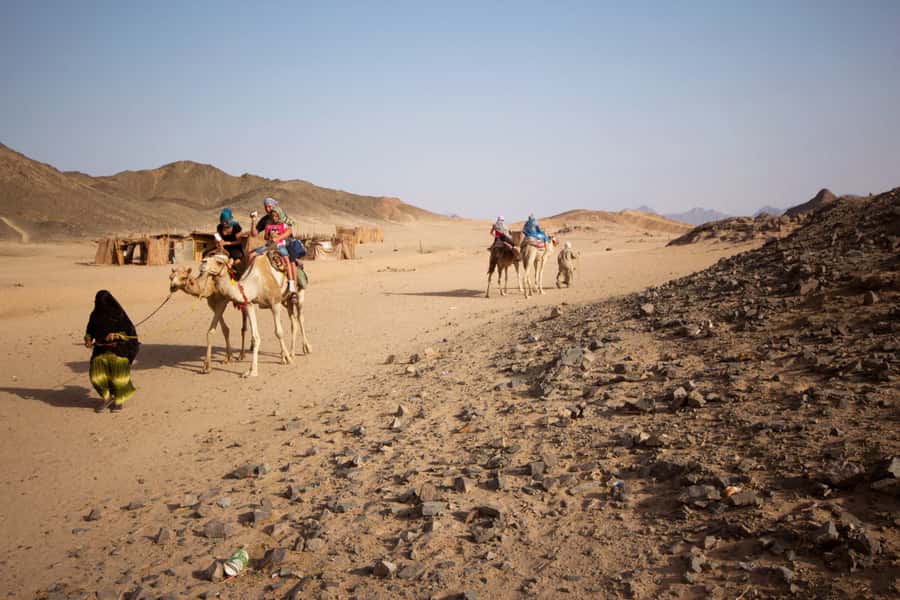 Hurghada: 6-Hour Jeep Desert Safari, Dinner, and Show - Dinner by bonfire + Sahara Park show: where the night energy comes from