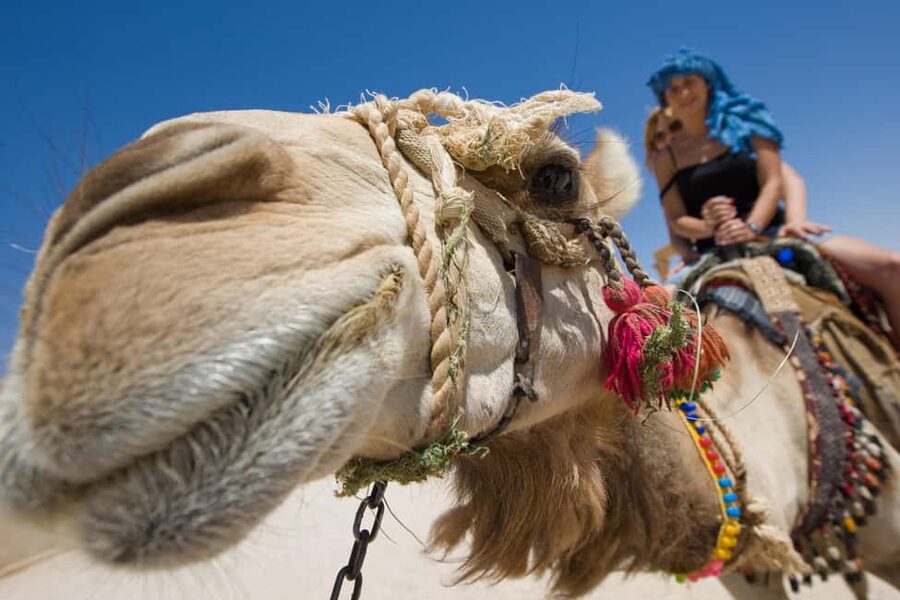Hurghada: ATV Quad, Jeep and Buggy Safari with BBQ Dinner - The value question: is $27 really a good deal?