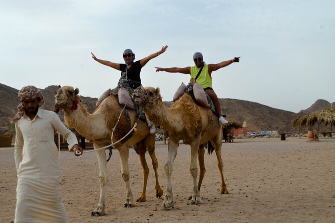 Hurghada Desert Safari on Quad Bikes With Camel for 3 Hours - Pickup, Timing, and Group Size: The Details That Affect Your Mood