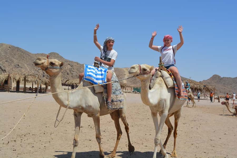 Hurghada: Jeep Safari with Camel Ride, Dinner and Show - Who This Tour Fits Best (and Who Should Rethink It)
