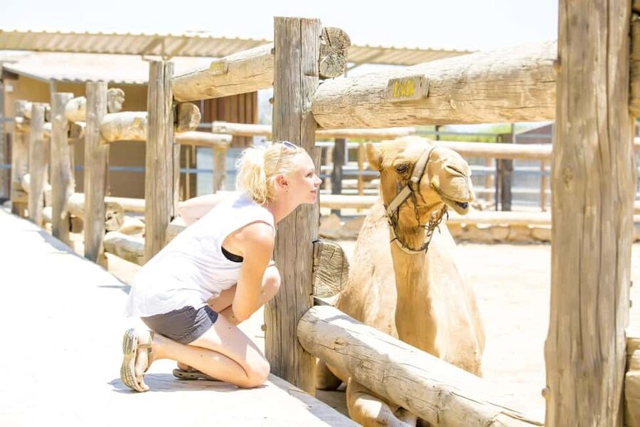 Hurghada: Mega Jeep safari, ATV & Bedouin vibe, and Dinner - Camel Ride and Bedouin Camp Tea: Where the Day Gets Human