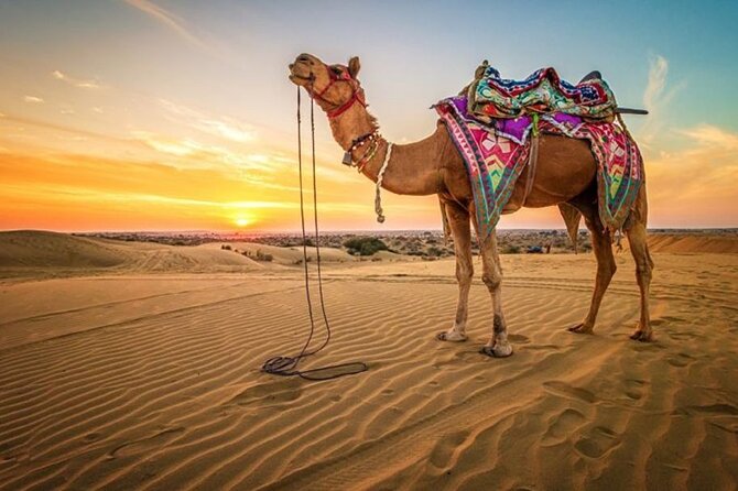 Hurghada: Quad, Jeep, Camel and Buggy Safari with BBQ Dinner - Getting There in Hurghada: Pickup, Jeep Transfer, and Time in the Sun