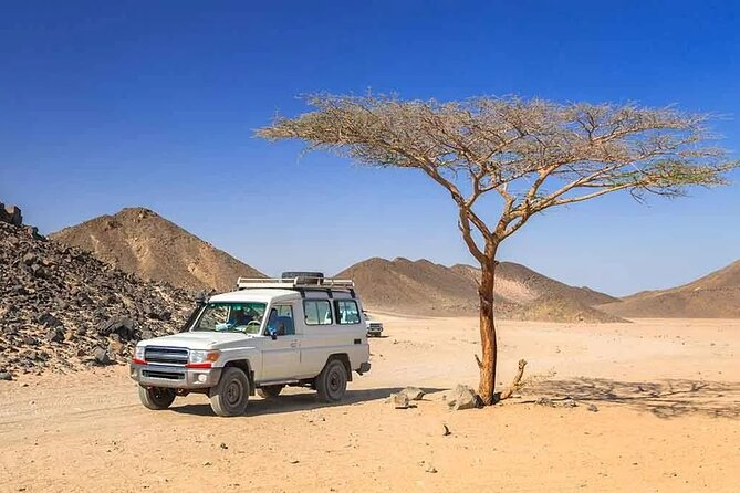 Hurghada: Safari 4x4 Jeep, Camel Ride, Dinner & Star Watching - Camel Ride Time: Short, Fun, and Photo-Friendly