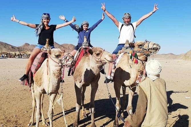 Hurghada Safari Trip Quad, Buggy, Jeep, Camel, Dinner, and Show - Key things to know before you go