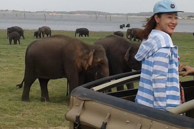 Hurulu eco park jeep safari - Jeep comfort, driver skill, and the guide’s role