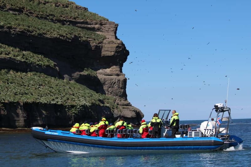 Húsavík: Original Big Whale Safari & Puffins by Speedboat - Skjálfandi Bay whale search: where the RIB speed pays off