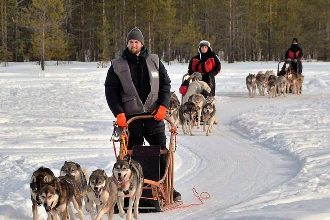 Husky Safari from Levi 2 KM or 5 KM with Husky Sledge Ride - The Sled Ride Itself: 2 km or 5 km, Plus the Drive-Your-Sled Factor