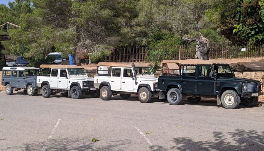 Ibiza: Jeep Safari Island Exploration - Why this Jeep safari feels like real Ibiza