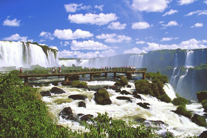 Iguassu Falls Brazilian Side: Macuco Safari, Helicopter Flight and Bird Park - Quick Hits: what makes this day tour special