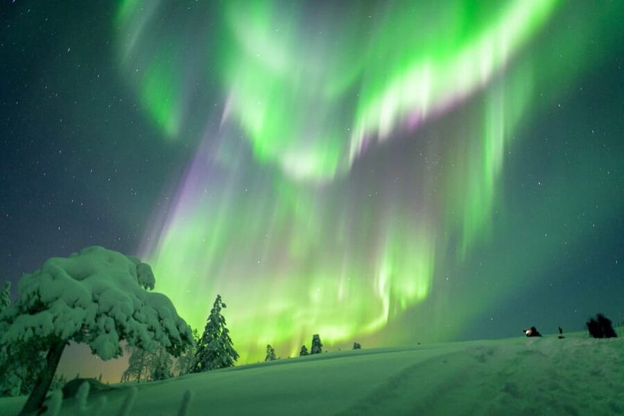 Inari: Northern Lights Hunt Snowmobile Safari - Snowmobile Driving Basics: What the Briefing Really Helps With