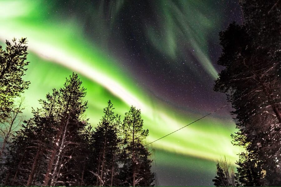 Inari: Northern Lights Hunt Snowmobile Safari - Campfire Barbecue in the Forest: Warmth Is Part of the Aurora Plan