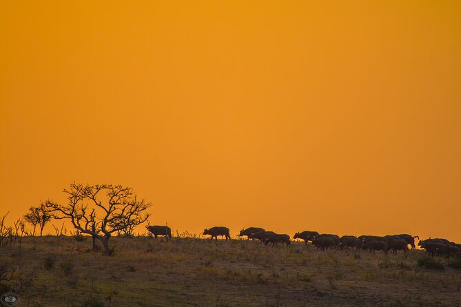 iSimangaliso Sunset Game Drive - Small group safari drive: what max 6 really changes for your day