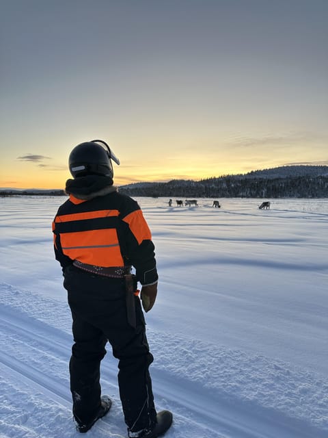 Ivalo: Snowmobile Safari, Meet and Feed Reindeers with Lunch - Shared Snowmobiles and the Mid-Tour Swap: Cost-Friendly, Still Fair