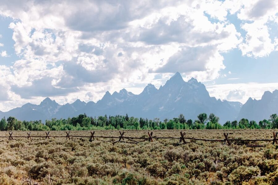 Jackson: Grand Teton Sunrise Safari with Naturalist Guide - Key things to know before you go