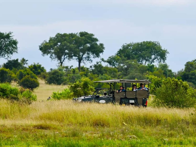 Jaipur: Jhalana Amagarh Leopard Reserve 4×4 Jeep Safari - Key things to know before you go