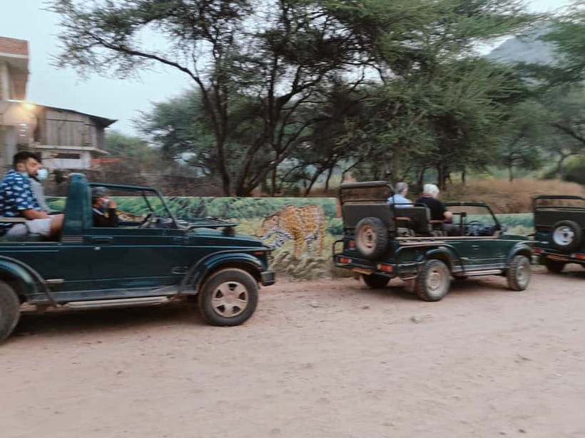 Jaipur: Jhalana Amagarh Leopard Reserve 4×4 Jeep Safari - Monkey Temple and interpretive stops: ask, don’t assume