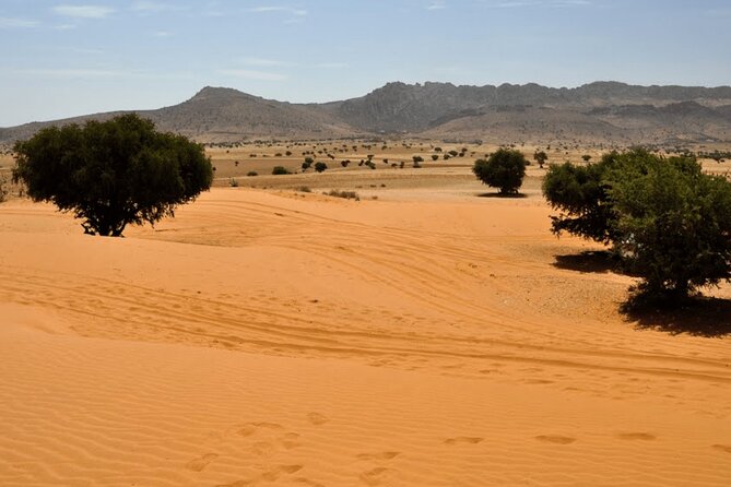 Jeep 4x4 Safari Atlantic Ocean & Desert Dunes with Berber Lunch - Key things to know before you go