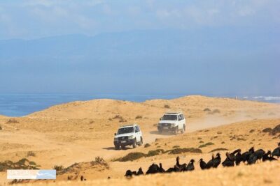 Jeep 4x4 Safari Desert Dunes & Atlantic Ocean with Berber Lunch - Stop 1: Tifnit and Sidi R’bat fisherman village on the wild beach