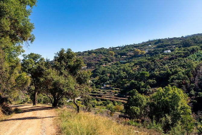 Jeep Safari #1 in Algarve - Monchique Stop: Villages, Customs, and the Mountain Pace