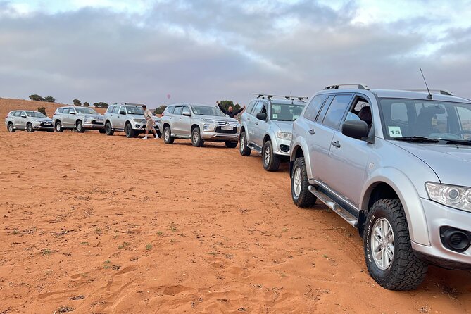 Jeep safari 4x4 mini sahara desert with Berber Lunch - Should you book this Mini Sahara Jeep safari with Berber lunch?
