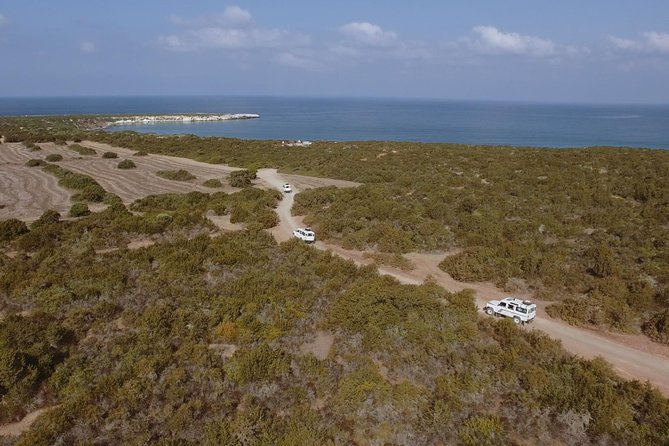 Jeep Safari Akamas from Paphos - Jeep Safari Akamas: what makes this day special from Paphos
