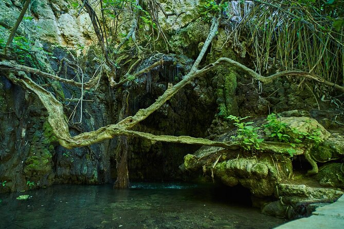 Jeep Safari Akamas from Paphos - Akamas Peninsula viewpoint and Aphrodite’s Baths: quick stops with real payoff