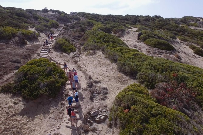Jeep Safari Akamas from Paphos - The Jeep ride itself: fun, rugged, and not meant for everyone