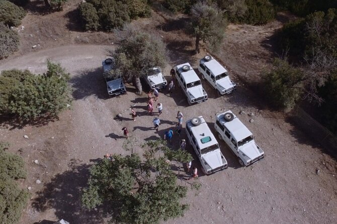 Jeep Safari Akamas from Paphos - Price and value: what $81.48 buys you (and what it doesn’t)