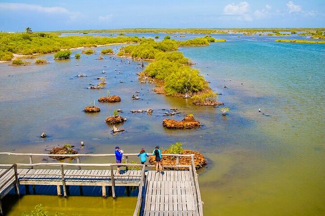 Jeep Safari All Inclusive Private Tour - Stop 5: Sabores de Cozumel—Chocolate, Tortilla, and Tequila (Your Time Value Here)