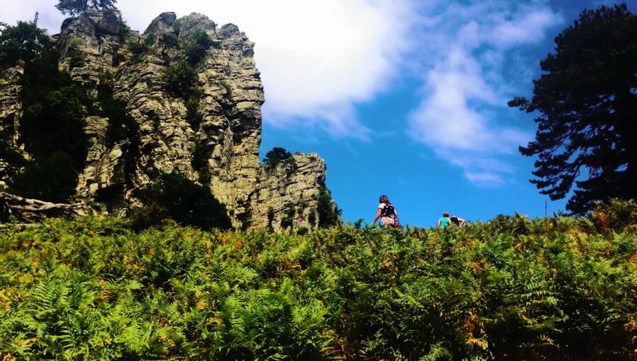 Jeep Safari in Thassos Mountain - Theologos and the old Thassos capital vibe