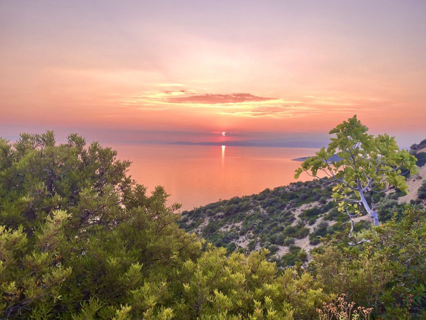 Jeep Safari in Thassos Mountain with picnic fruits & wine - Maries lake: feeding turtles and fish in the middle of the day