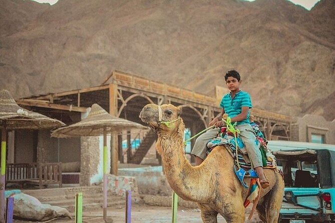 Jeep Safari Salama Colored Canyon from Sharm El-Sheikh - The 15-Minute Camel Ride by the Red Sea Shore
