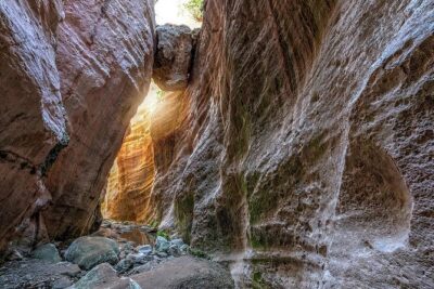 Jeep Safari to Akamas National Park: Avakas Gorge Tour from Paphos - The full itinerary clock: sea caves, gorge, turtles, swims, then shipwreck views
