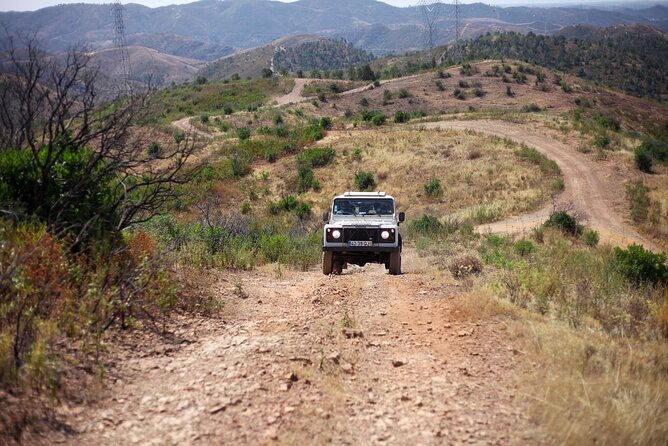 Jeep Safari to Akamas National Park: Avakas Gorge Tour from Paphos - Akamas Peninsula swim stop (Apr–Nov) and the Latchi lunch reset
