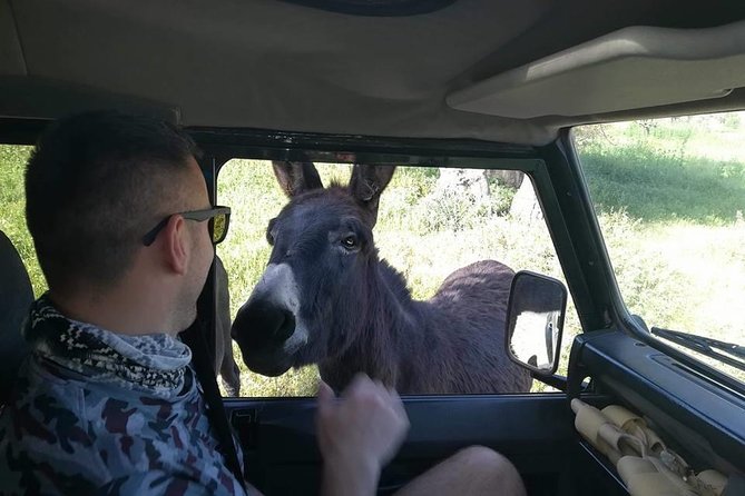 Jeep Safari to Akamas National Park: Avakas Gorge Tour from Paphos - Baths of Aphrodite: legend, shade, and why some people skip it