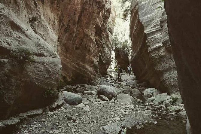 Jeep Safari to Akamas National Park: Avakas Gorge Tour from Paphos - Pickup, pacing, and what riding in this Jeep is really like