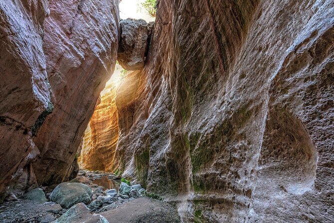 Jeep Safari to Akamas National Park: Avakas Gorge Tour from Paphos - The full itinerary clock: sea caves, gorge, turtles, swims, then shipwreck views