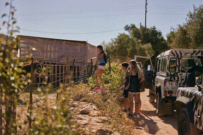 Jeep Safari Tour - Full Day - Land Rover Defender Adventure: Comfort, Seatbelts, and What to Expect