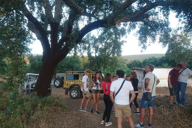 Jeep Safari Tour - Full Day - Stop 2: Paderne Castle and the 20-Minute History Hit