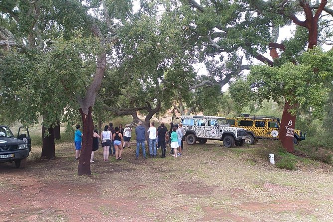Jeep Safari Tour - Half Day - What the Included Stops Teach You About the Algarve Beyond the Coast