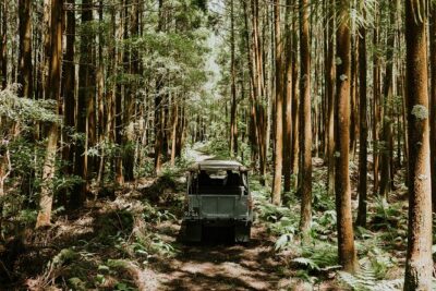 Jeep Safari Tour - Terceira Island FD - Monte Brasil: Extinct Volcano + Fortaleza Walls with Real View Power