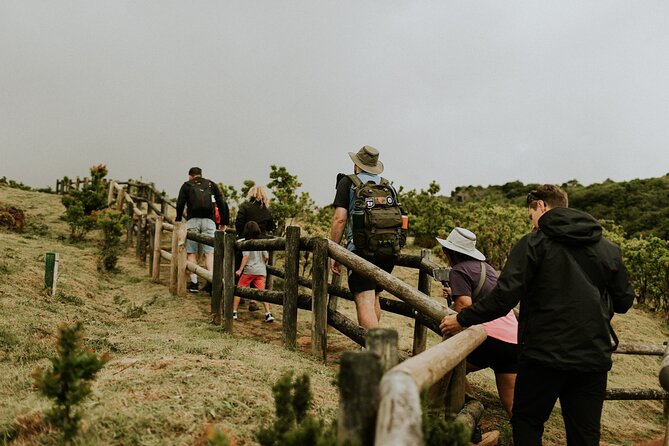 Jeep Safari Tour - Terceira Island FD - Lagoa das Patas (Duck Lake) Forest Reserve: Plants, Water, and a Breather