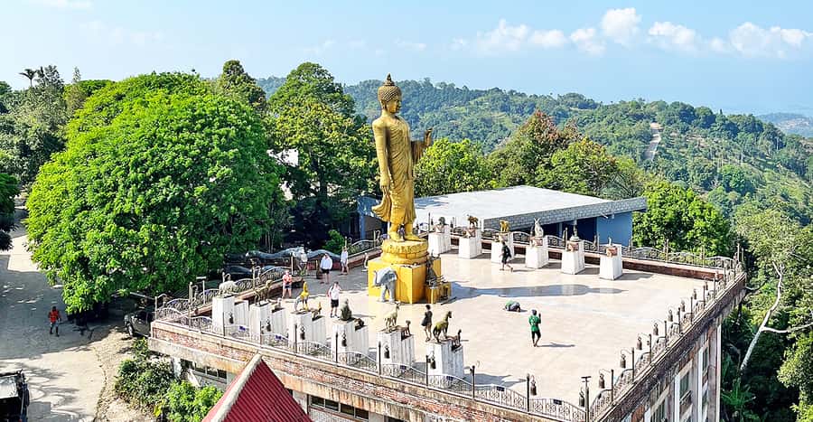 Jeep Tour Koh Samui Jungle Safari Full Day Adventure - Morning pickup and the open-jeep ride (what you should plan for)