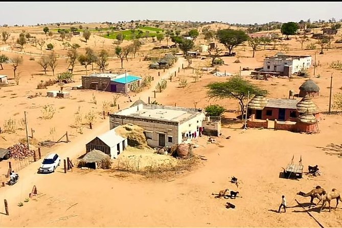 Jodhpur Camel Safari & Jeep Safari In Desert Jodhpur SR - FAQ