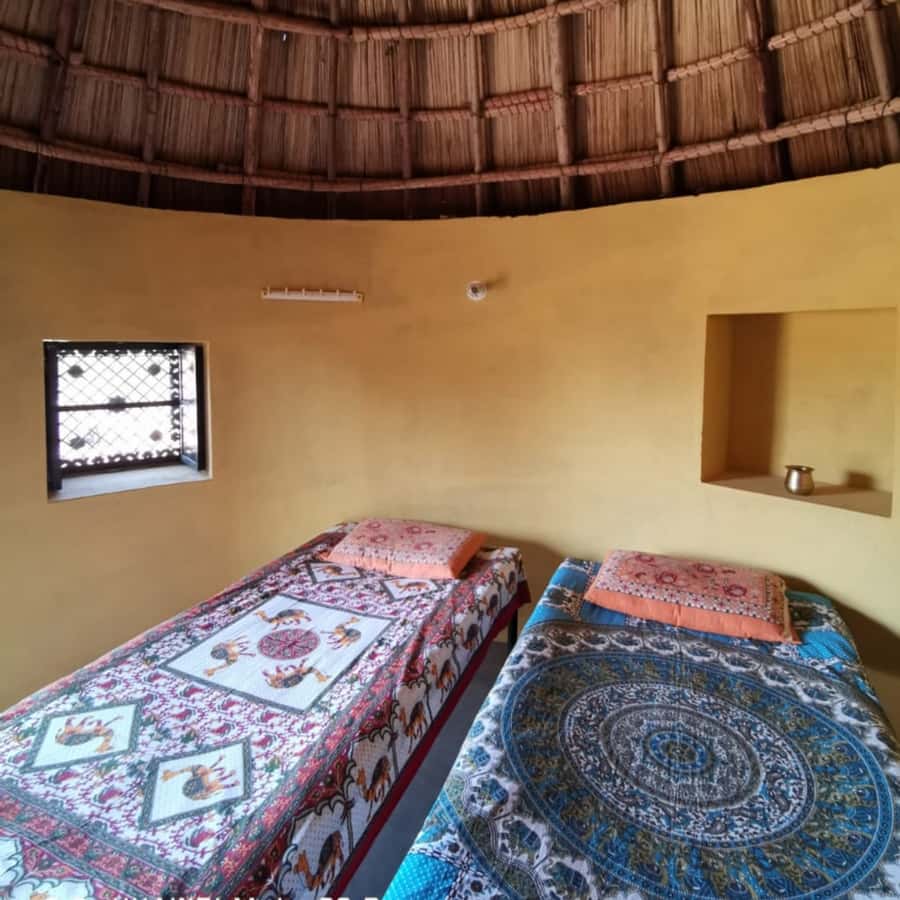 Jodhpur Camel Safari & Overnight Stay In Desert With Sumer - Key things to know before you go