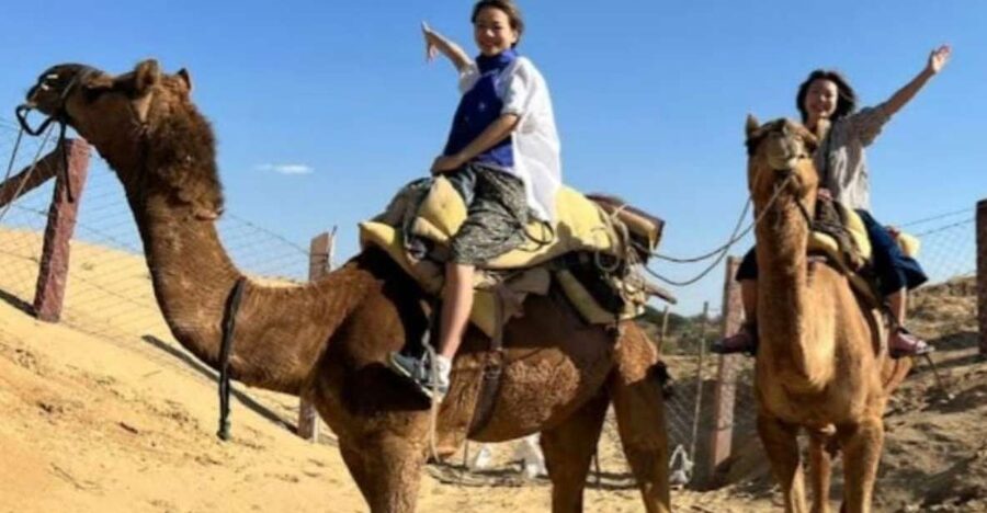 Jodhpur: Desert Camel and Jeep Safari with Traditional Food - Who this safari suits best (and who should think twice)