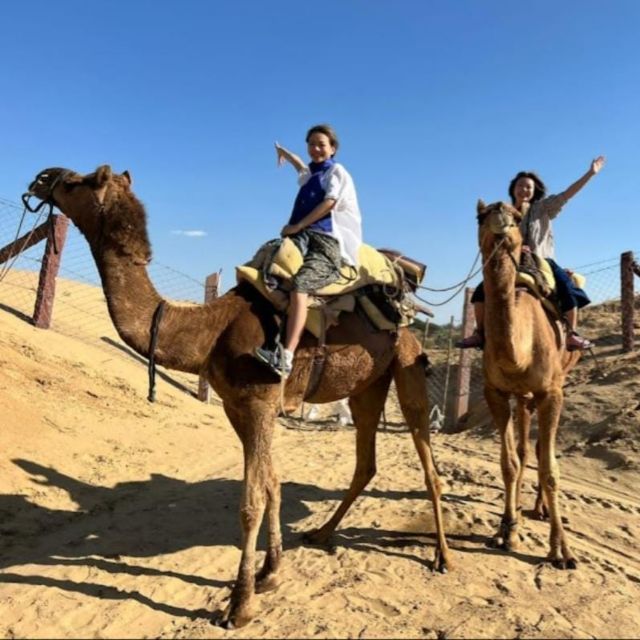 Jodhpur: Desert Camel and Jeep Safari with Traditional Food - Osian’s Sachchiya Mata Temple: A quiet reset before the desert fun